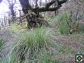 thn_NZ leden-unor 2006 191.jpg